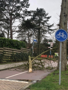 Groet uit Schoorl run afgelast door storm ciara